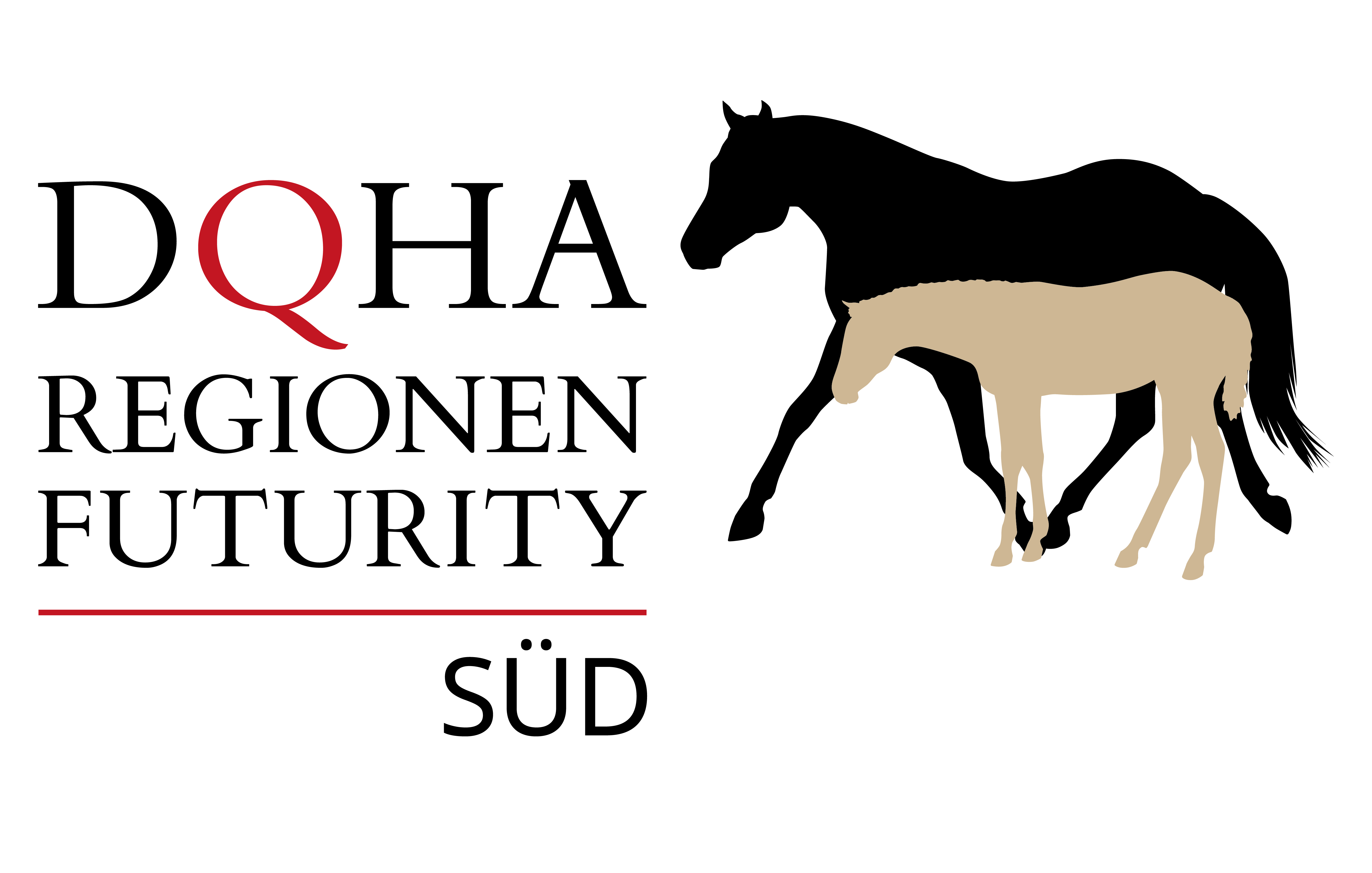 Süd Futurity